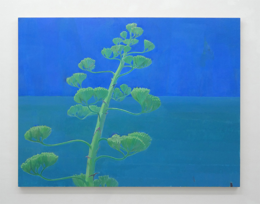 Katsuya Kobari Agave