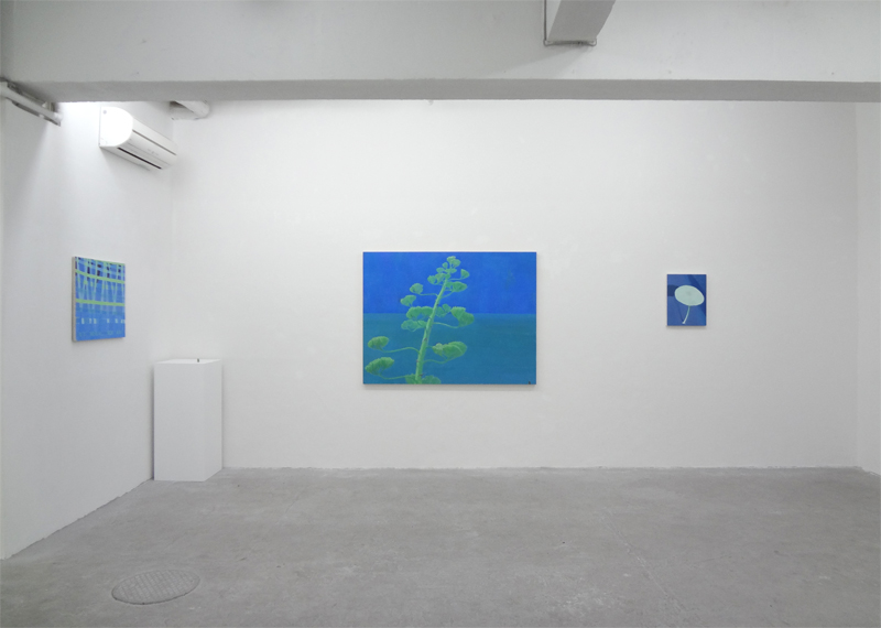 Exhibition at art trace gallery 2012agave.jpg