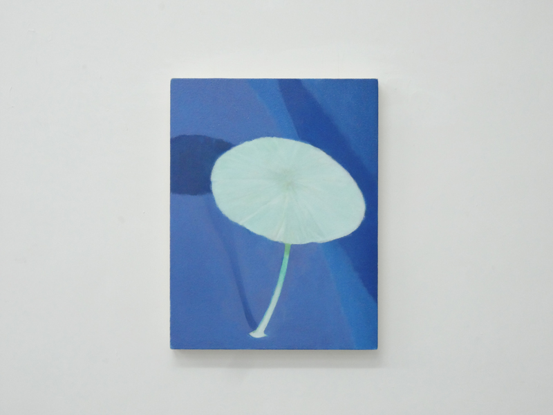 Exhibition at art trace gallery WhiteMushroom.jpg